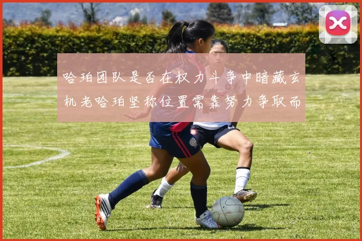 哈珀团队是否在权力斗争中暗藏玄机老哈珀坚称位置需靠努力争取而非索要