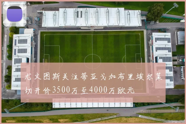 尤文图斯关注蒂亚戈加布里埃尔莱切开价3500万至4000万欧元